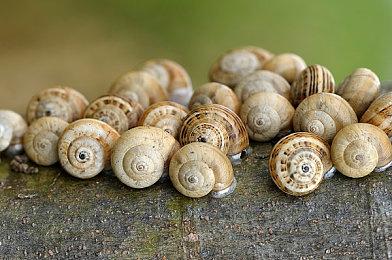 《Dungeonborne》Steam试玩发布 第一人称迷宫探索