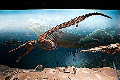 种田模拟经营游戏《农场还债物语》Steam页面上线 发售日期待定